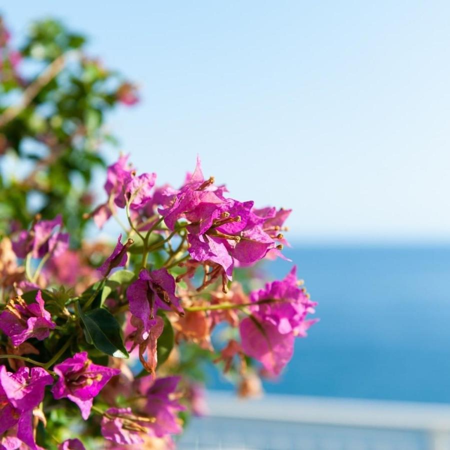 Bed and Breakfast Made In Sicily Santa Tecla Acireale Zewnętrze zdjęcie